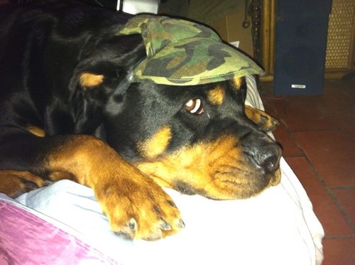 toussaint974's profile picture. 