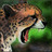 simomozu's profile image