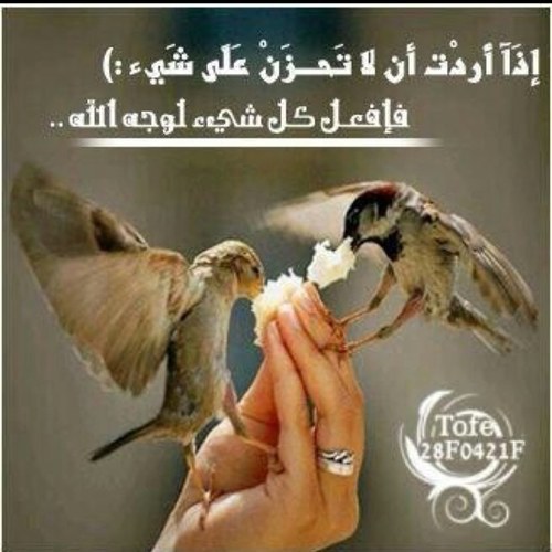 من سيبقى لي و من سيبقى معي ؟ لا أحد سوى نفسي !! لذا *آسفة* إلا نفسي لا احد يستحقني ف نفسي أولاً ثم نفسي ثم نفسي ايضاً ..