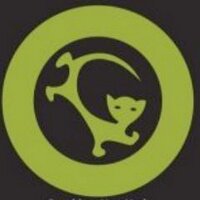 Kitten Coffee (@kittencoffeebk) 's Twitter Profile