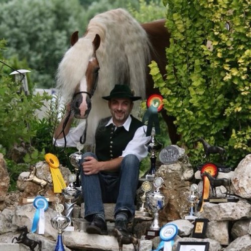 HaflingerCLuber's profile picture. Außergewöhnliche Haflinger-Hengste, mit langem weißen Behang und einzigartigem Charakter, von Claus Luber aus Untermässing/ Greding.