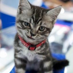 DFedorovd's profile picture. 