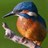 m_orran's profile image
