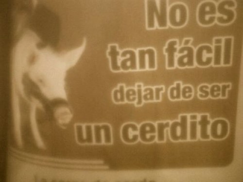 Quiero ser Flaca, solo eso.... Altura: 156 PI:60 PA:50 M1:55 M2:50 M3:45 o mas delgada.