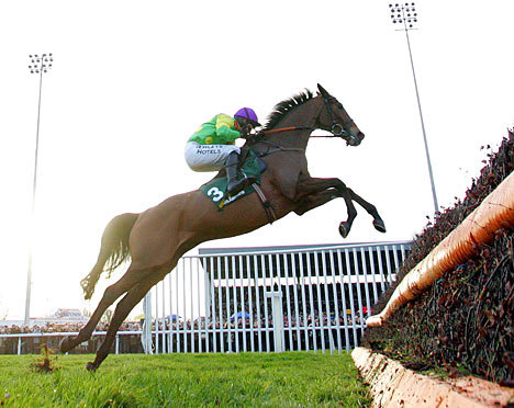National Hunt professional tipster. http://t.co/Tinezsn7. tel. 08444482025 The rate is just 5p a minute :D