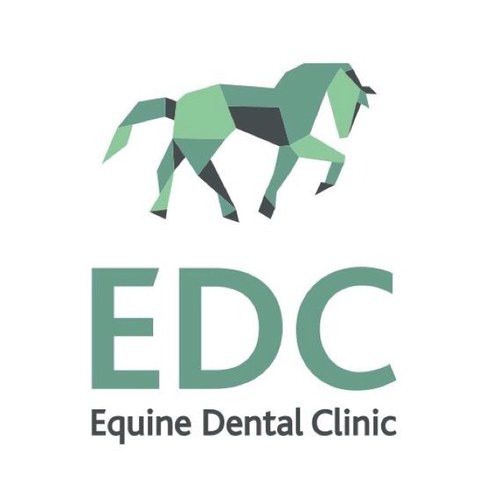 Veterinary equine dentistry practice by Chris Pearce MRCVS. Mission to promote modern clinical dentistry. Advanced dental and referral services; training, CPD.
