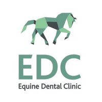 EquineDentalClinic (@equinevetdental) 's Twitter Profile