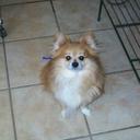 Marjorie Buckner - @MarjorieBuckn11 - Twitter