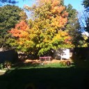 julia menjivar - @juliamenjivar - Twitter