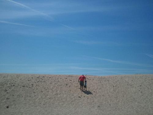 donniemartini's profile picture. "I've been to the edge. And there I stood and looked down."