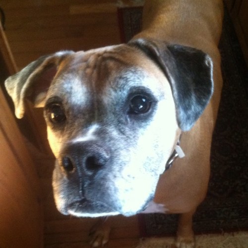 mmnai1's profile picture. 