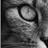 esenif's profile image