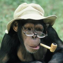 eclecticmess's profile picture. Mindless musings from a simple soul.