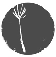 Símientes Editoresさんのプロフィール画像