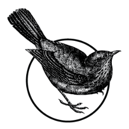BlackbirdSec's profile picture. Security contractors & technical experts serving the Greater Toronto area.
