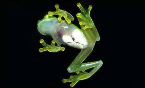 sumakandrade's profile picture. 