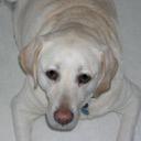 Don MacLean - @maclead1 - Twitter