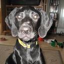 Lauri Thompson - @Run2Dawgs - Twitter