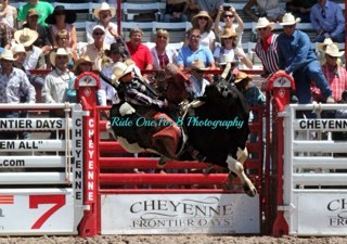 I like to fish hunt  rodeos some time I think life is rodeo  horse back rides  long walks on hang over beach