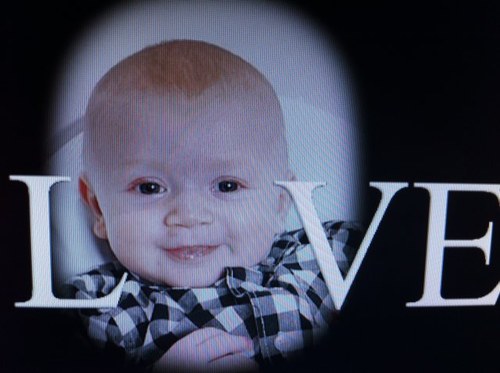 ascheradella's profile picture. 