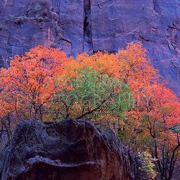 RadUtah's profile picture. RadUtah@gmail.com
We support art, and everything about Utah! We post everything about Utah