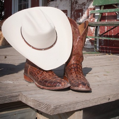 StrosBros81's profile picture. Texas grad. Astros diehard. Libertarian.  Attorney.