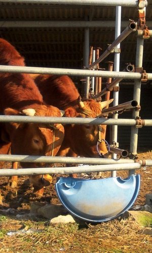 ps196825's profile picture. 