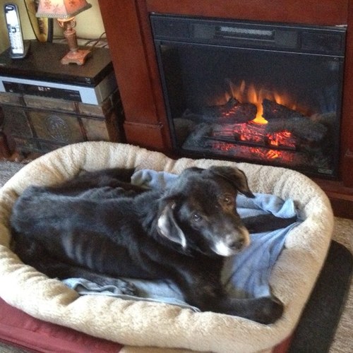 Peacock91's profile picture. 