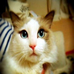 snydercx's profile picture. ove, Life ad God tweets. Here to brighten up your day.