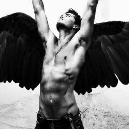 Aquí podrás encontrar todas las frases de Patch Cipriano de la saga Hush Hush escrita por Becca Fitzpatrick |Todo en favoritos|