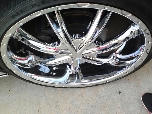 Bearnova's profile picture. 100% 24/7 365