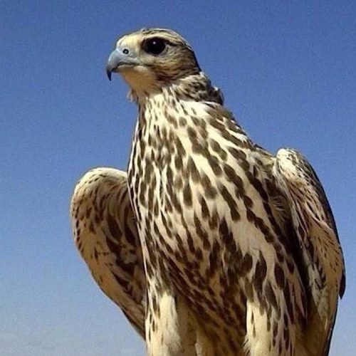 weewq8's profile picture. 