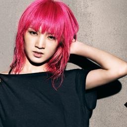 V.I.P/E.L.F/SONE/PRIMADONNA/BOICE/SHAWOL/A+.