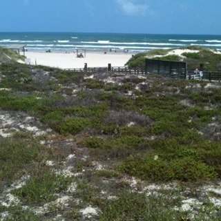 bobjohn97's profile picture. 