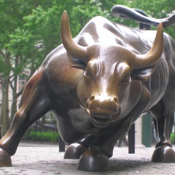 Penniesaddup845's profile picture. “Two things are infinite: the universe and human stupidity; and I'm not sure about the universe.” 
― Albert Einstein