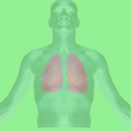 SchmittMed's profile picture. Mobile Ärzte - Mobile Medizin:
für Privatversicherte und Selbstzahler.
Die Arztpraxis kommt zu Ihnen nach Hause!