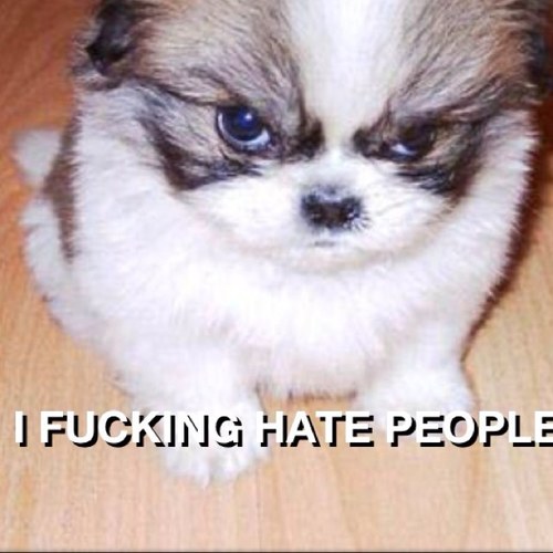 I hate all you fuckers .