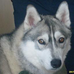 cpenny15's profile picture. 