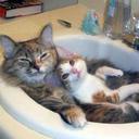 Malika Rivers - @MalikaRivers - Twitter