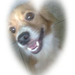 lalinha87257674's profile picture. 