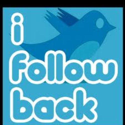 #TEAMFOLLOWBACK