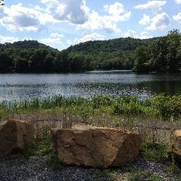 wetblanket4's profile picture. Wish i went to WVU but couldnt get in.