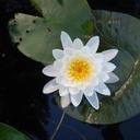 jack hook - @jvdhook - Twitter