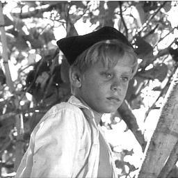 Right-hand man to chief Jack! I really dont like Ralph's tribe, especially that Piggy character!