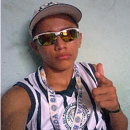 A Vida Me Fez Palmeirense e Eu Fiz Do Palmeiras Minha Vida. O Meu Time é Vencedor , E a Torcida é Um Terror ♪  
 SOCIEDADE ESPORTIVA PALMEIRAS