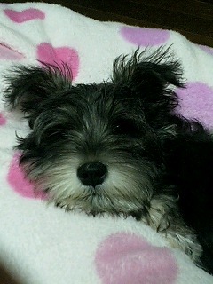 oku3gogo＠5/30熊本空港10K