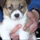 Derek Fox - @Defox99 - Twitter