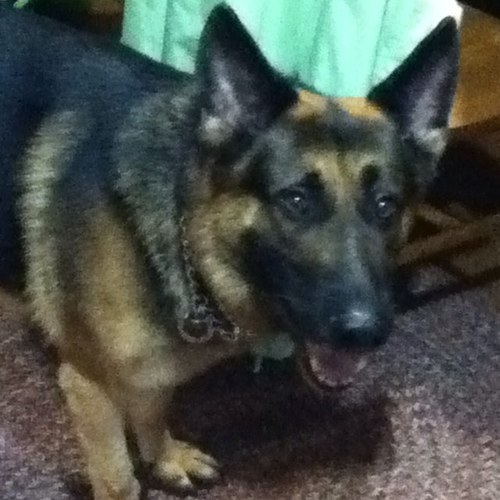 MattMattsr9's profile picture. 