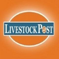 LivestockPost's profile picture. Your premier site to post/browse quality #Cattle, #Pigs, #Sheep and #Goats for the seed and show stock industry. http://t.co/z2Bzly9Z #Livestock #Semen #Embryos