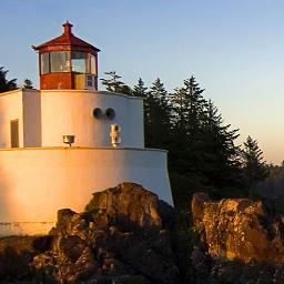 YbeHealthy's profile picture. Hi there and welcome Brothers and Sisters. If you love light and trueth please follow. This is a place of love, peace, friendship and goodwill.